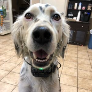 Meet your Posher, Brittny